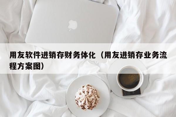 用友软件进销存财务体化（用友进销存业务流程方案图）