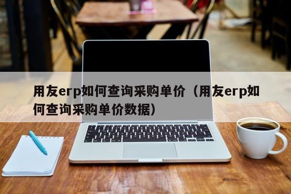 用友erp如何查询采购单价（用友erp如何查询采购单价数据）