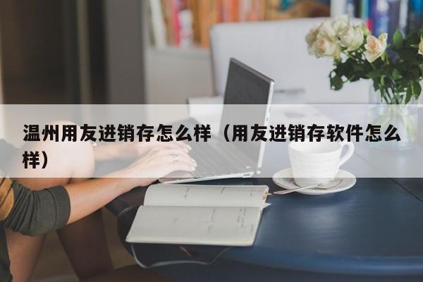 温州用友进销存怎么样（用友进销存软件怎么样）