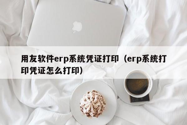 用友软件erp系统凭证打印（erp系统打印凭证怎么打印）