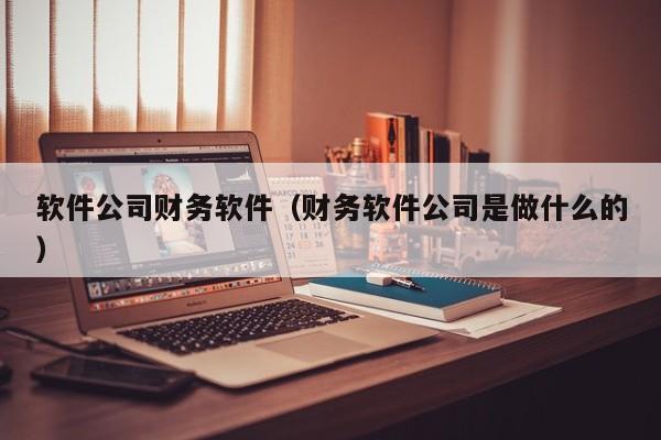 软件公司财务软件（财务软件公司是做什么的）