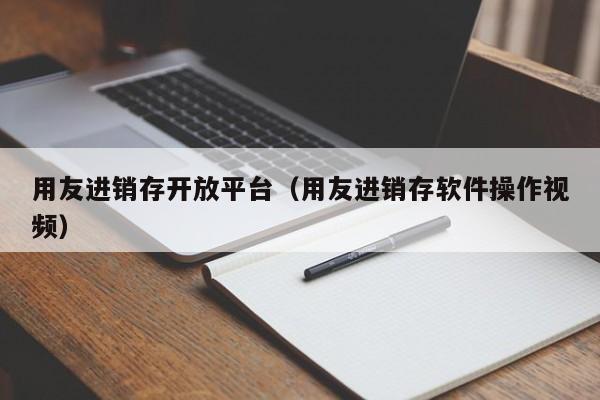 用友进销存开放平台（用友进销存软件操作视频）