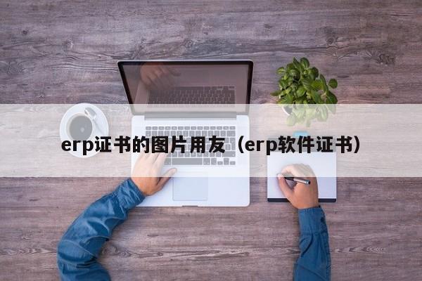 erp证书的图片用友（erp软件证书）