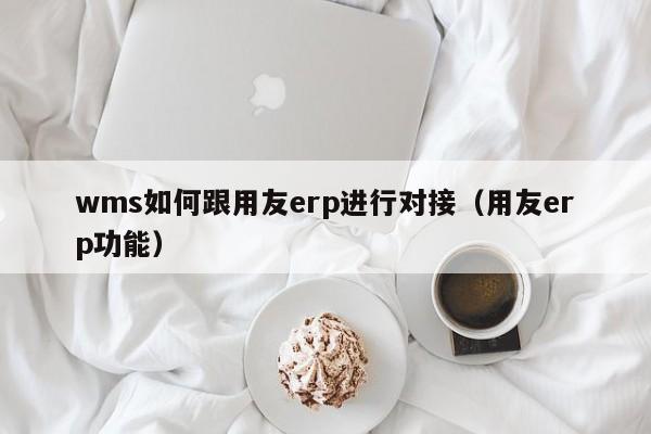 wms如何跟用友erp进行对接（用友erp功能）