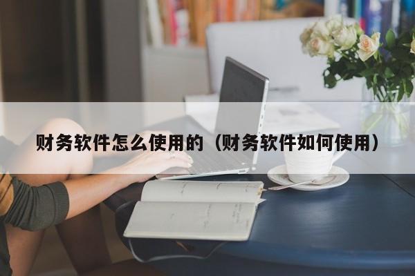 财务软件怎么使用的（财务软件如何使用）