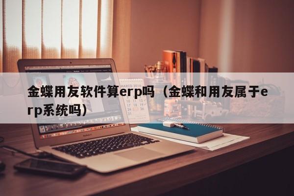 金蝶用友软件算erp吗（金蝶和用友属于erp系统吗）