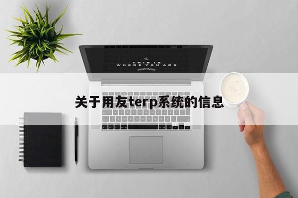 关于用友terp系统的信息