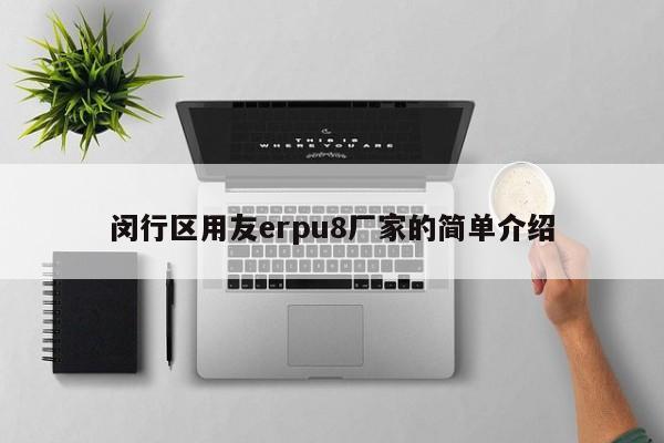 闵行区用友erpu8厂家的简单介绍