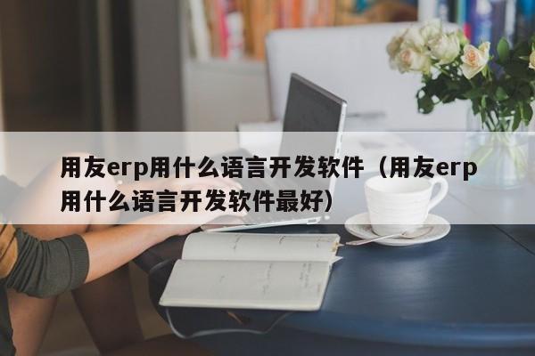 用友erp用什么语言开发软件（用友erp用什么语言开发软件最好）