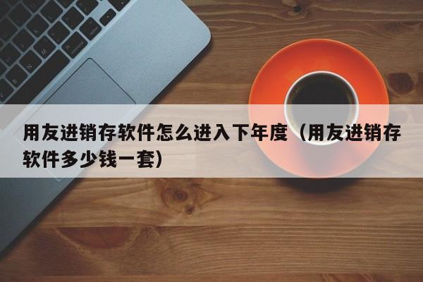 用友进销存软件怎么进入下年度（用友进销存软件多少钱一套）