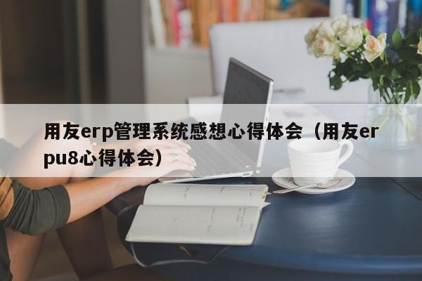 用友erp管理系统感想心得体会（用友erpu8心得体会）