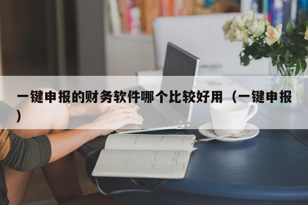 一键申报的财务软件哪个比较好用（一键申报）