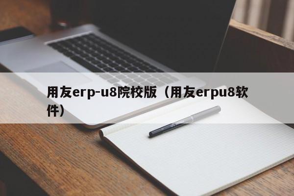 用友erp-u8院校版（用友erpu8软件）