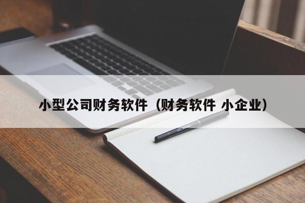 小型公司财务软件（财务软件 小企业）