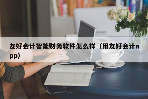 友好会计智能财务软件怎么样（用友好会计app）