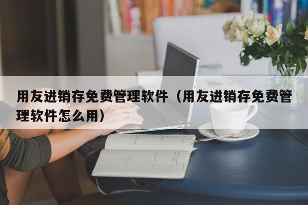 用友进销存免费管理软件（用友进销存免费管理软件怎么用）