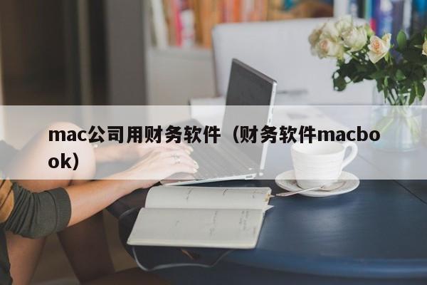 mac公司用财务软件（财务软件macbook）