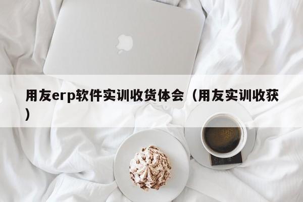 用友erp软件实训收货体会（用友实训收获）