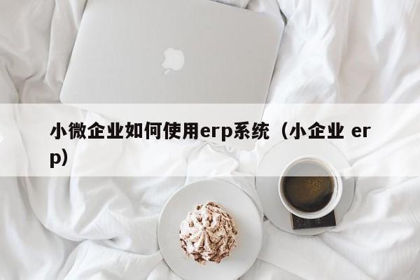 小微企业如何使用erp系统（小企业 erp）