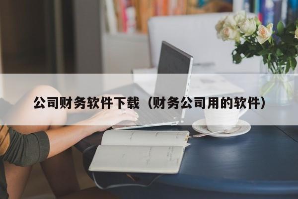 公司财务软件下载（财务公司用的软件）