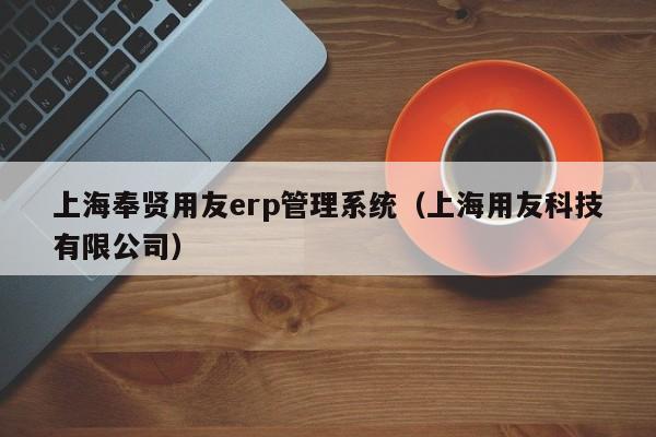 上海奉贤用友erp管理系统（上海用友科技有限公司）