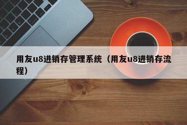 用友u8进销存管理系统（用友u8进销存流程）