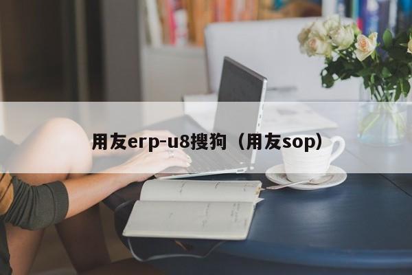 用友erp-u8搜狗（用友sop）