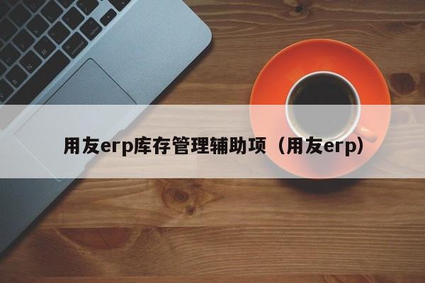 用友erp库存管理辅助项（用友erp）