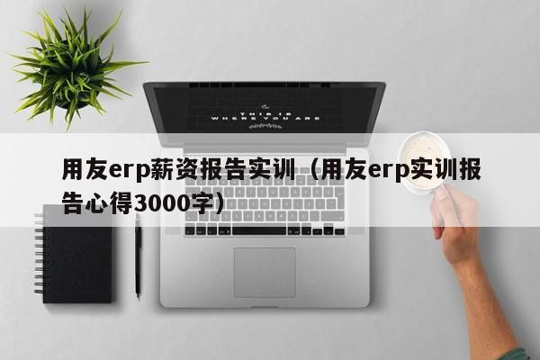 用友erp薪资报告实训（用友erp实训报告心得3000字）