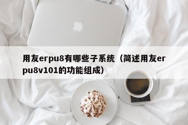 用友erpu8有哪些子系统（简述用友erpu8v101的功能组成）