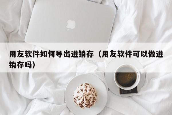 用友软件如何导出进销存（用友软件可以做进销存吗）