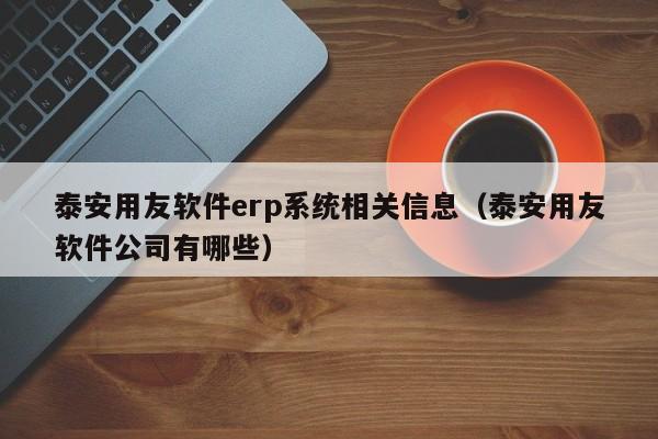 泰安用友软件erp系统相关信息（泰安用友软件公司有哪些）