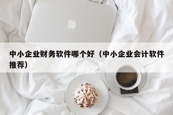 中小企业财务软件哪个好（中小企业会计软件推荐）