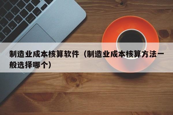 制造业成本核算软件（制造业成本核算方法一般选择哪个）