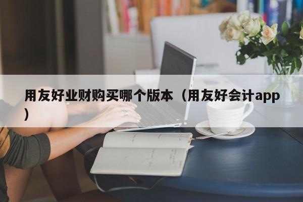 用友好业财购买哪个版本（用友好会计app）