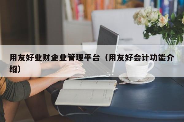 用友好业财企业管理平台（用友好会计功能介绍）