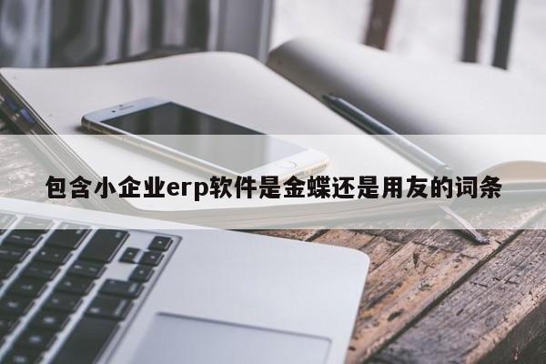 包含小企业erp软件是金蝶还是用友的词条