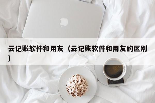 云记账软件和用友（云记账软件和用友的区别）