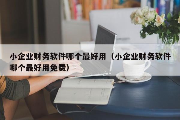 小企业财务软件哪个最好用（小企业财务软件哪个最好用免费）