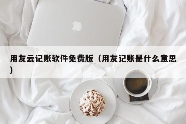 用友云记账软件免费版（用友记账是什么意思）