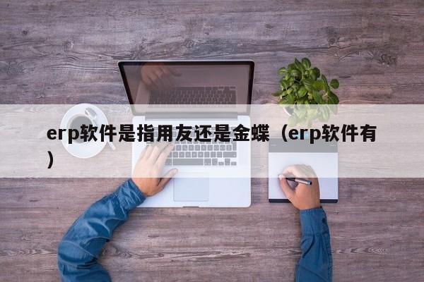 erp软件是指用友还是金蝶（erp软件有）