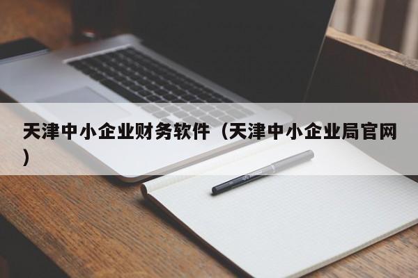 天津中小企业财务软件（天津中小企业局官网）