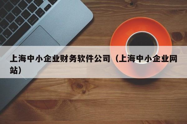 上海中小企业财务软件公司（上海中小企业网站）