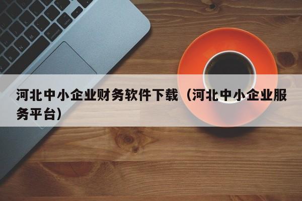 河北中小企业财务软件下载（河北中小企业服务平台）