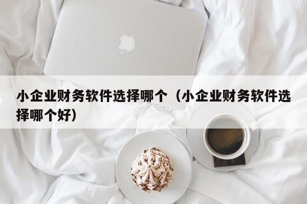 小企业财务软件选择哪个（小企业财务软件选择哪个好）