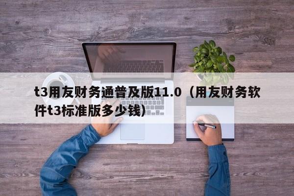 t3用友财务通普及版11.0（用友财务软件t3标准版多少钱）