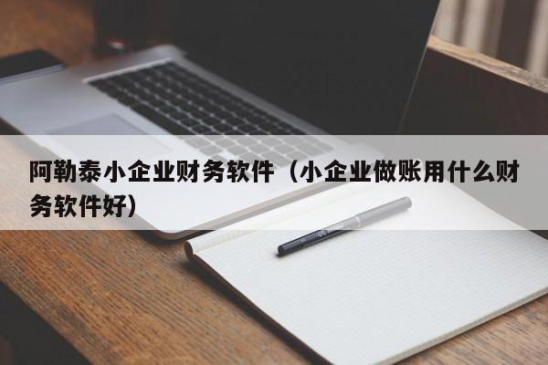 阿勒泰小企业财务软件（小企业做账用什么财务软件好）