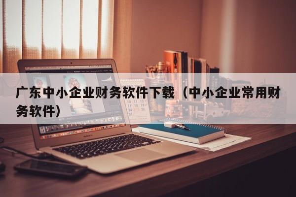 广东中小企业财务软件下载（中小企业常用财务软件）