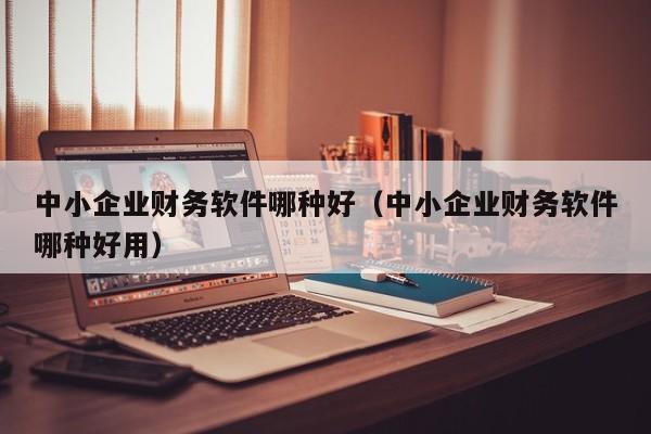 中小企业财务软件哪种好（中小企业财务软件哪种好用）