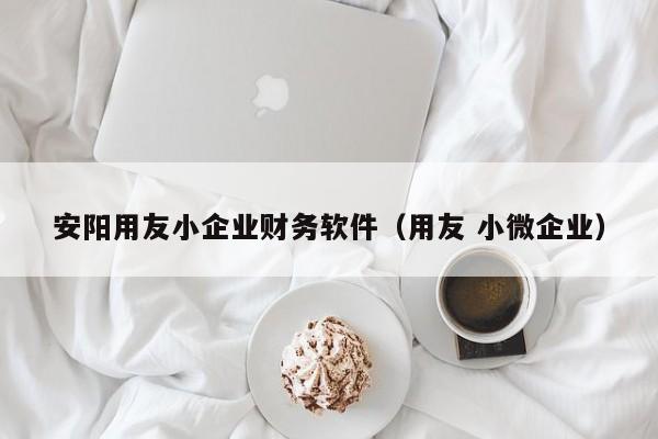 安阳用友小企业财务软件（用友 小微企业）